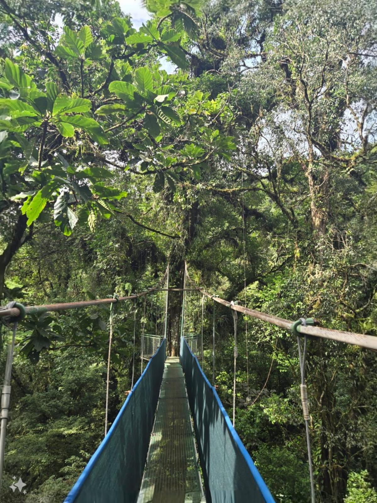 Heliconias Rainforest Lodge Bijagua Kültér fotó